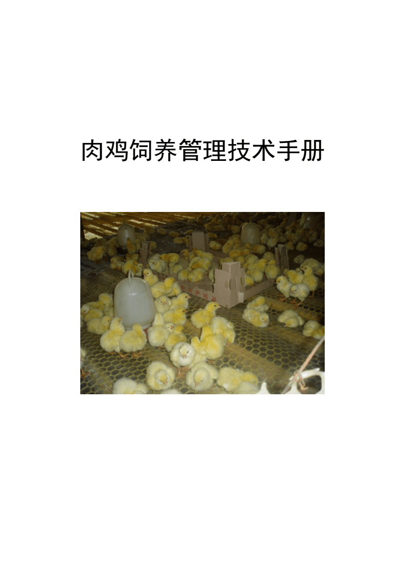 肉鸡饲养管理技术手册.doc